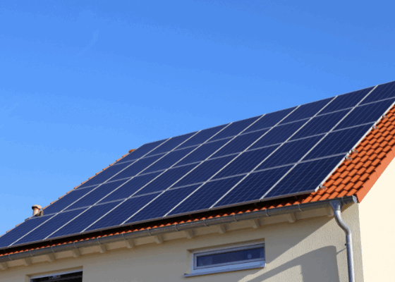 Interview mit Lea Escher von REGIOSOL Solartechnik