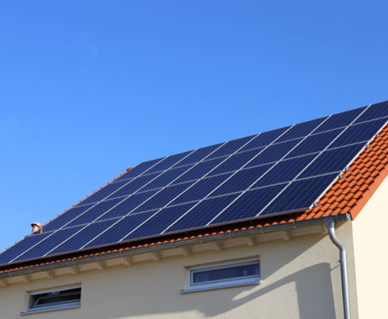 Interview mit Lea Escher von REGIOSOL Solartechnik